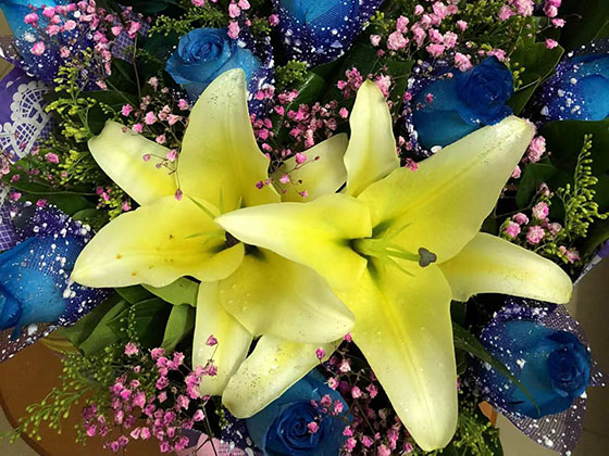 日喀则市窗台鲜花|庭院绿化设计